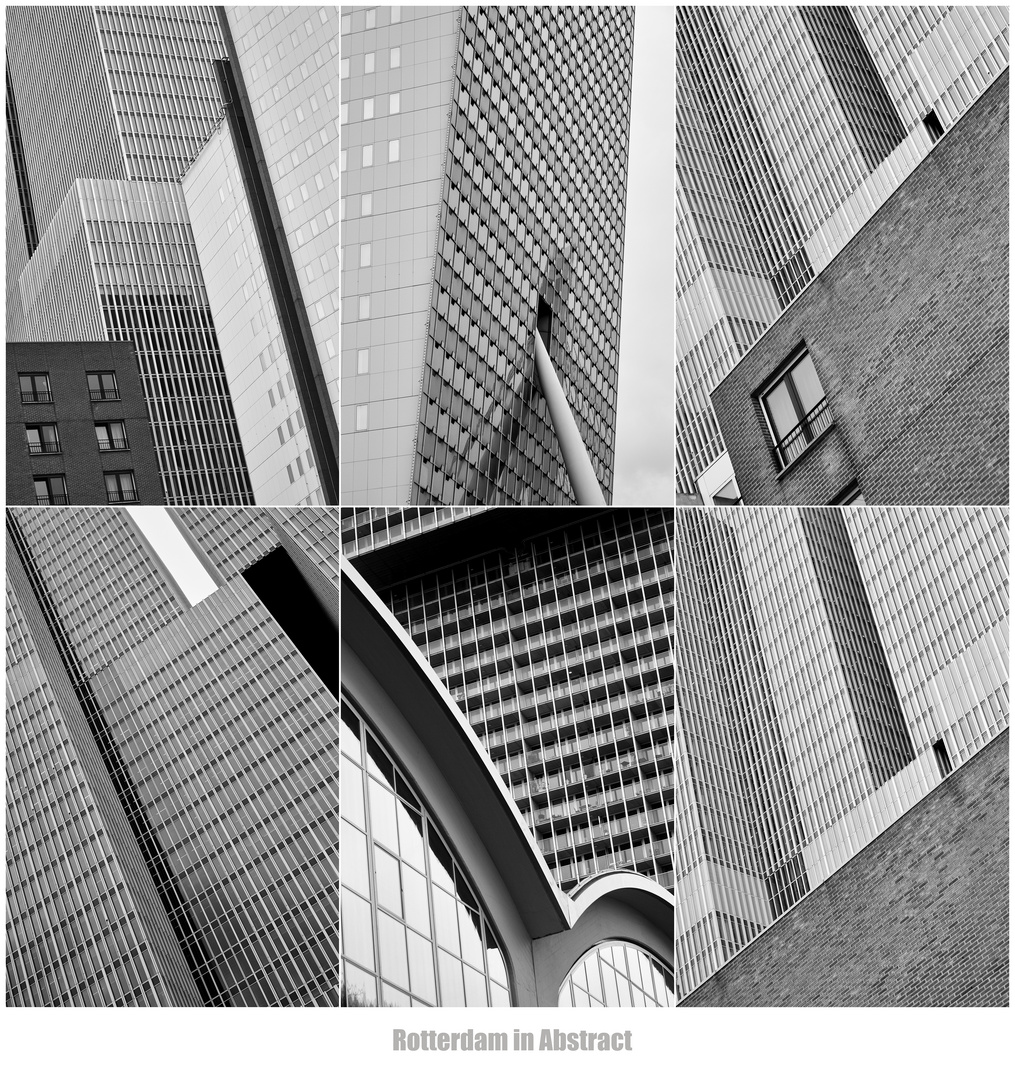 Rotterdam in Abstract