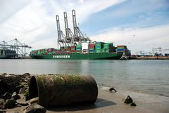 Rotterdam Maasvlakte - Europahaven/Amazonehaven - ECT