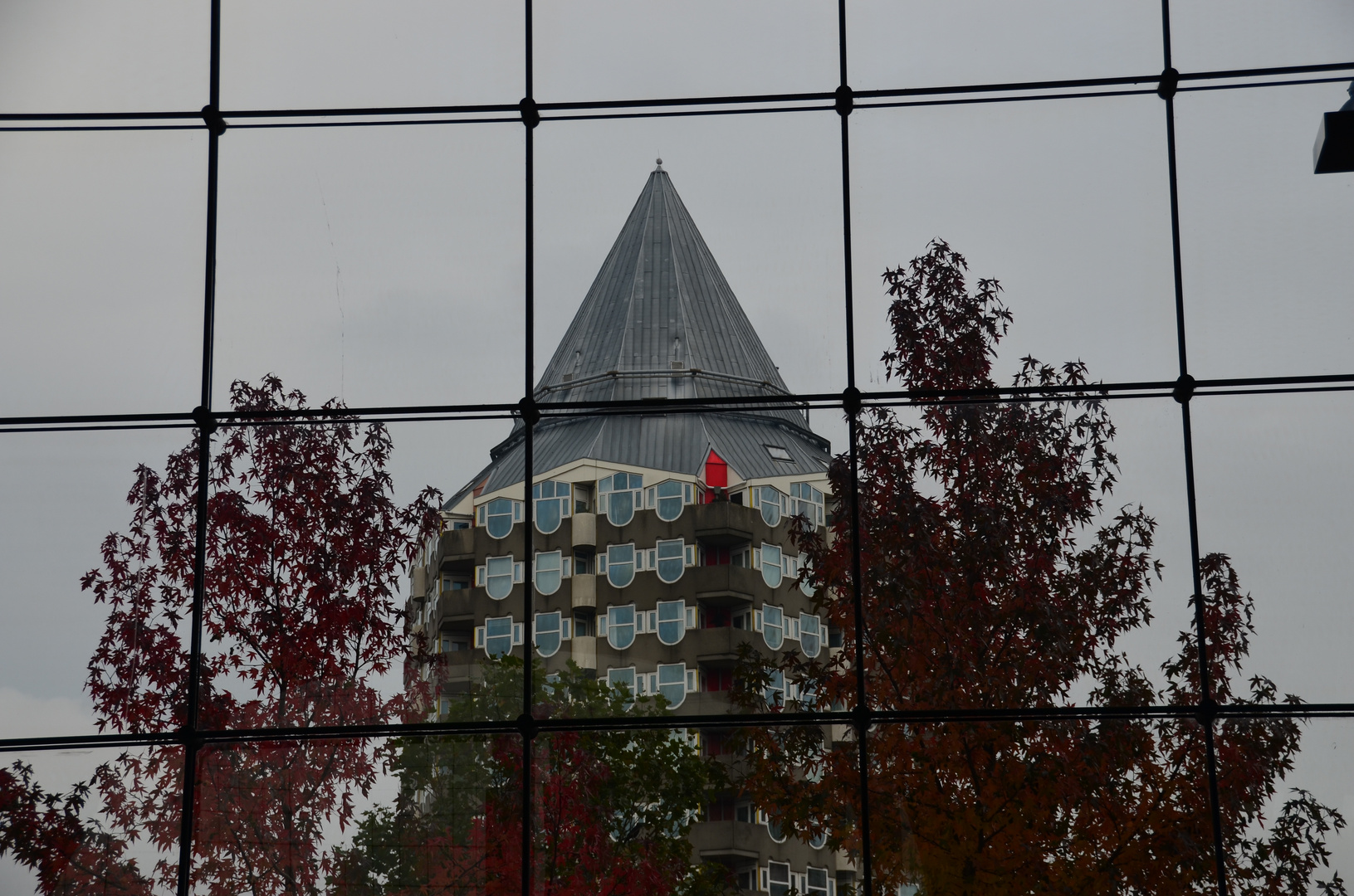 Rotterdam Markthal