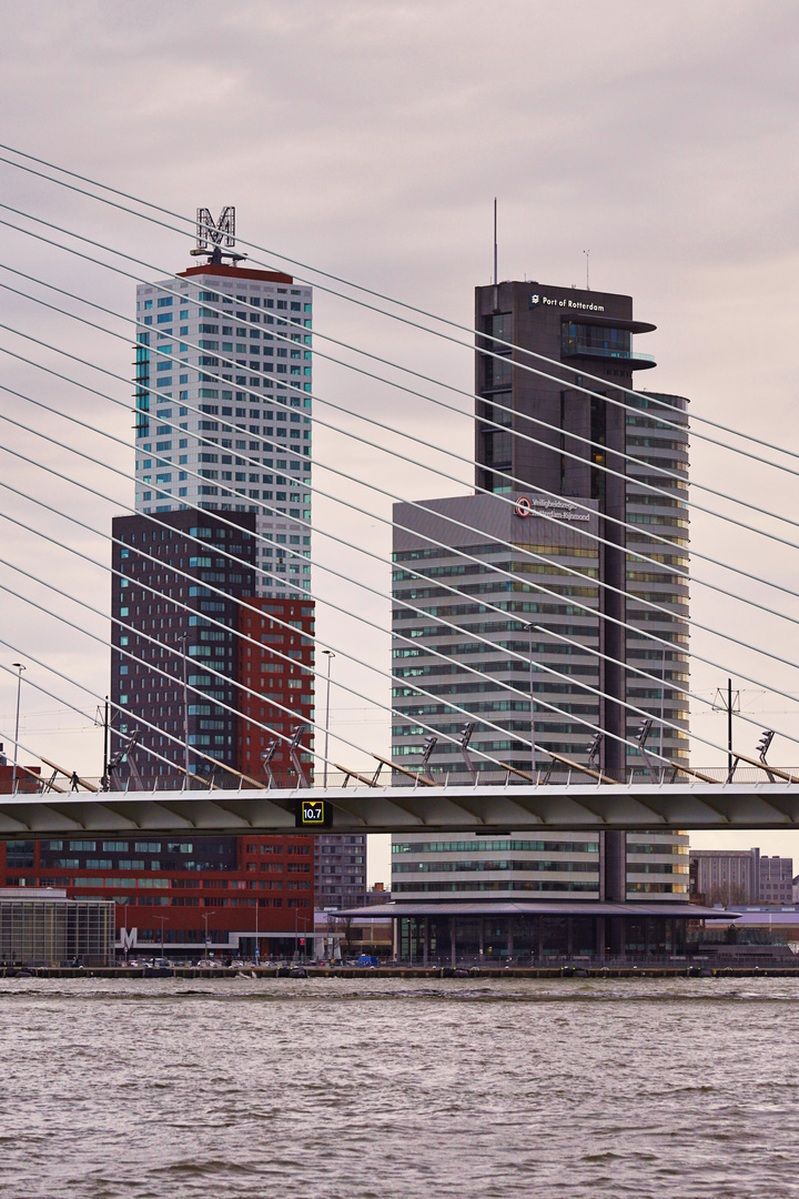 Rotterdam Montevideo und World Port Center