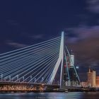 Rotterdam Nights