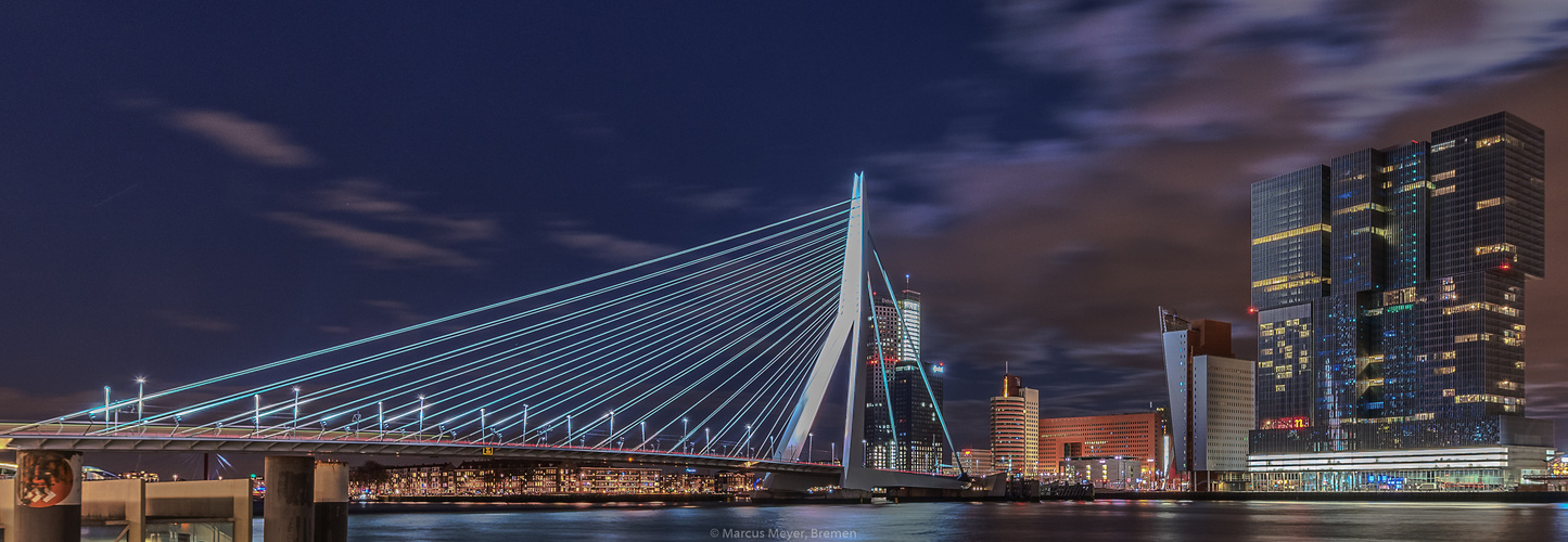 Rotterdam Nights