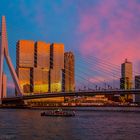 Rotterdam, NL