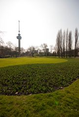 Rotterdam - Park - Euromast