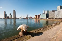 Rotterdam - Rijnhaven