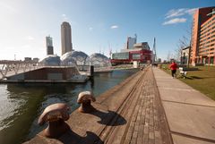 Rotterdam - Rijnhaven-.