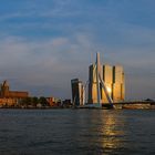 Rotterdam s Skyline