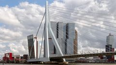 Rotterdam sehen und genießen!