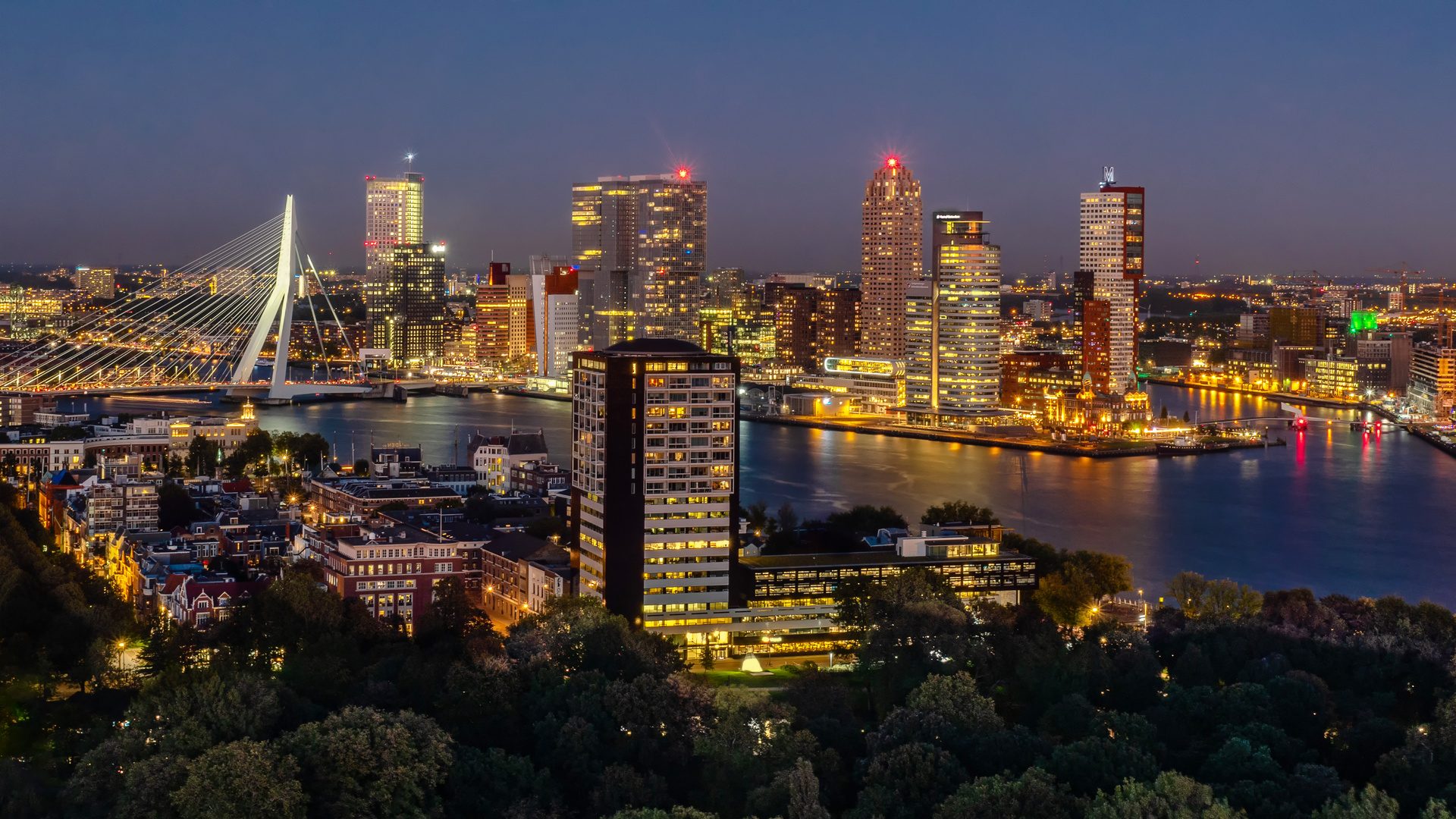 Rotterdam. Skyline bei Nacht.