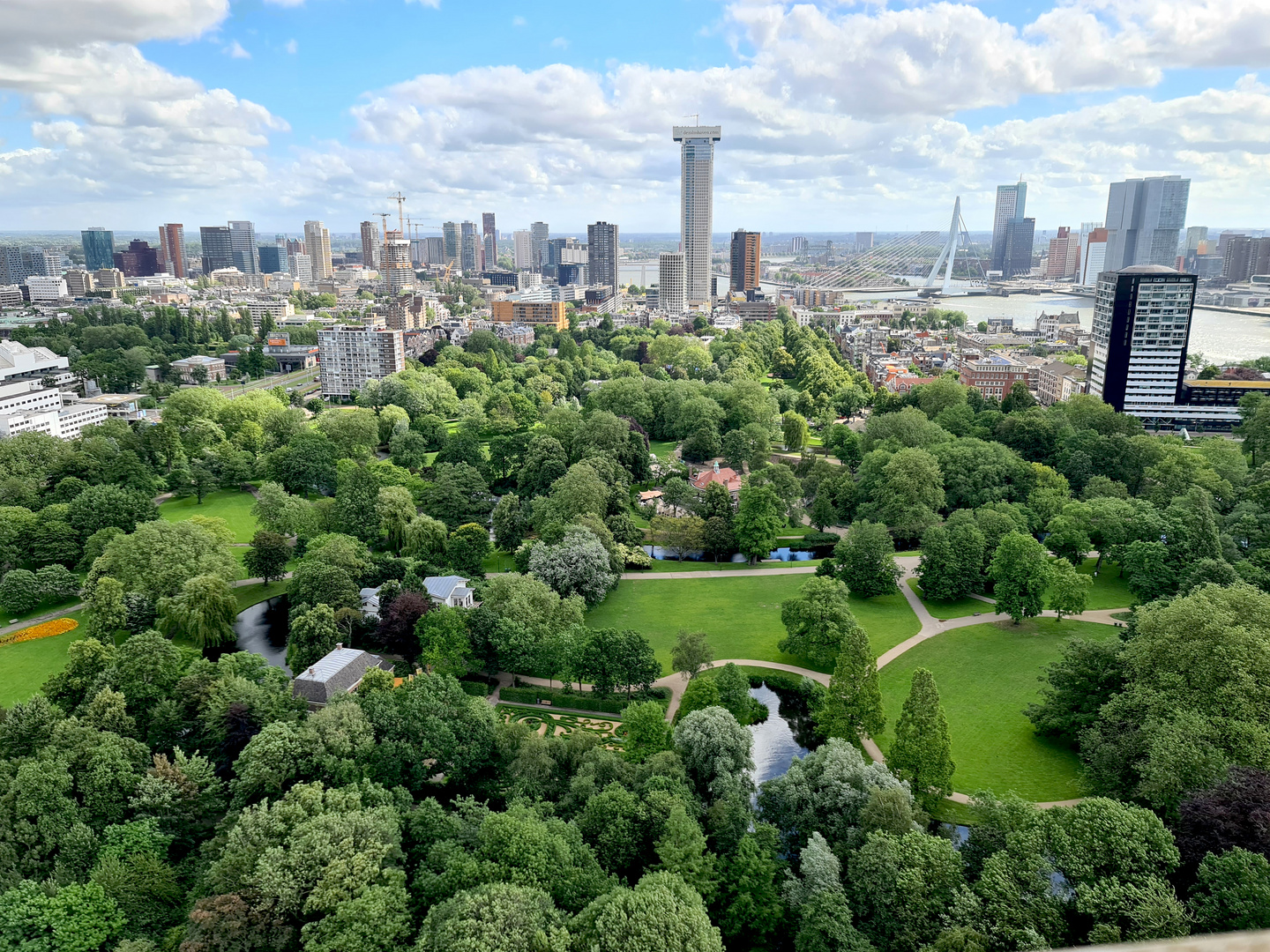 Rotterdam von oben