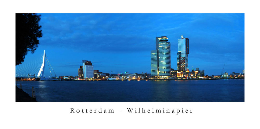 Rotterdam Wilhelminapier