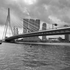 Rotterdam_2