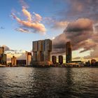 Rotterdamer Hafen im goldenen Licht