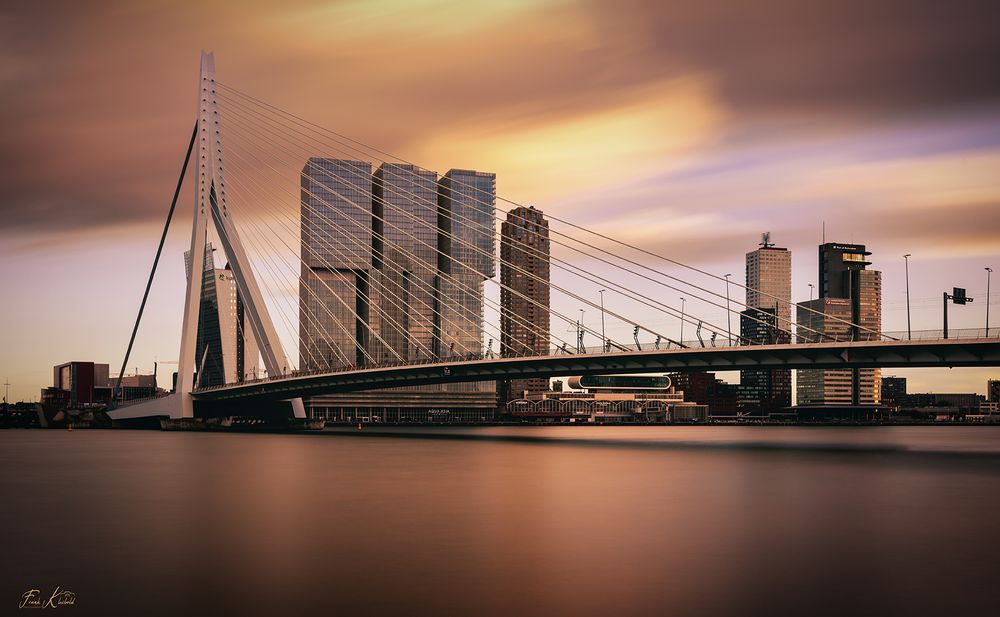 Rotterdamer Hafen mit der Erasmusbrücke