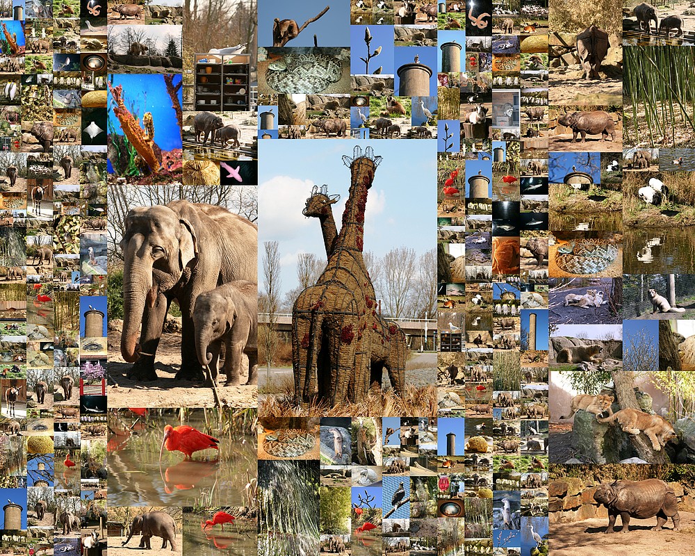 Rotterdamer Zoo (Niederlande) (19.03.2012)(1)