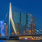 Rotterdam_Erasmusbrücke