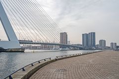 Rotterdam_Erasmusbrücke_01