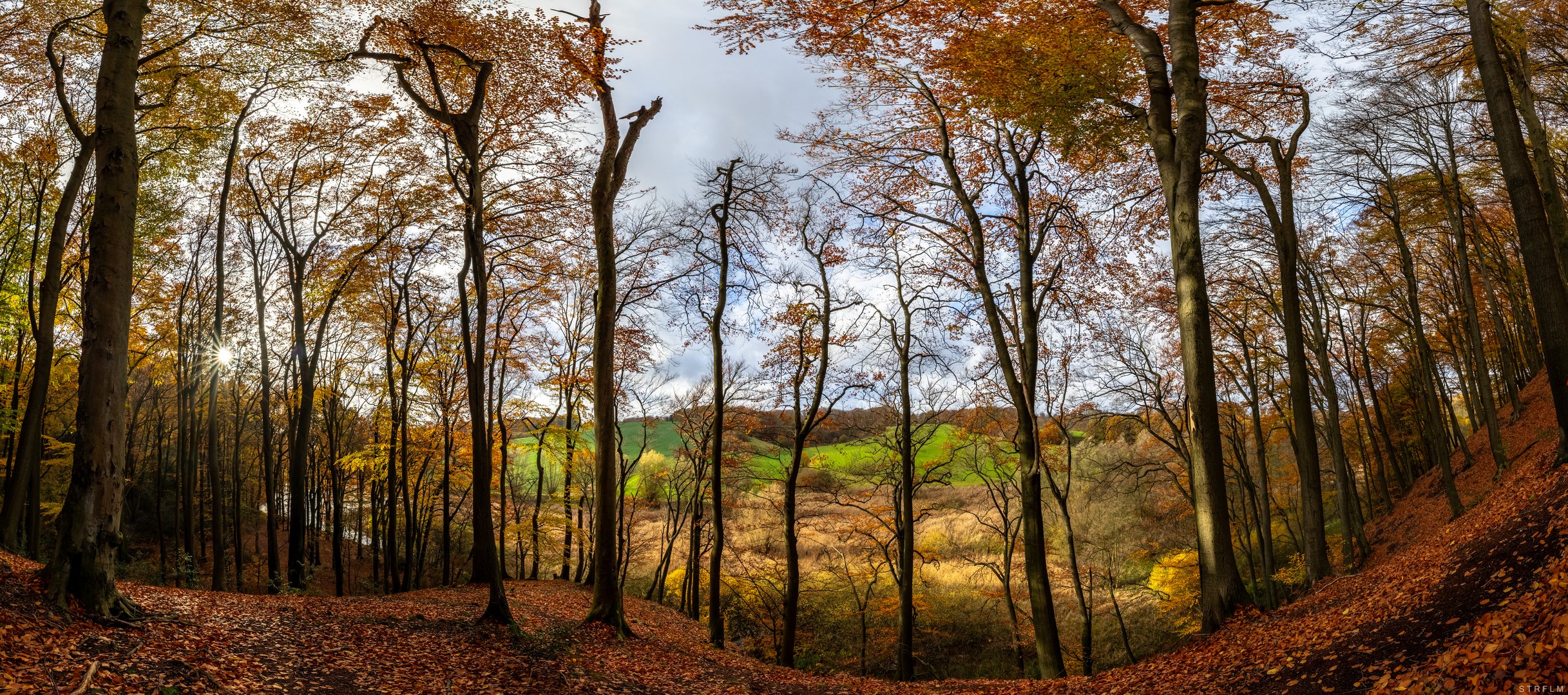 Rotthäuser Bachtal