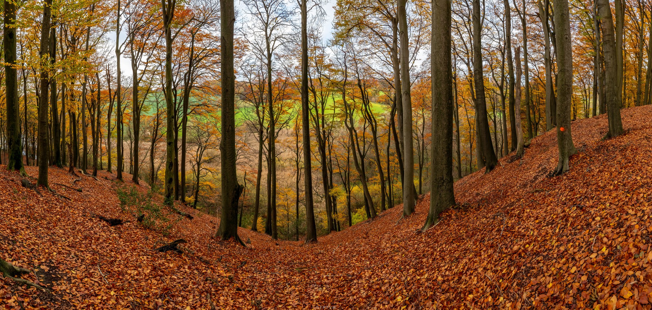 Rotthäuser Bachtal