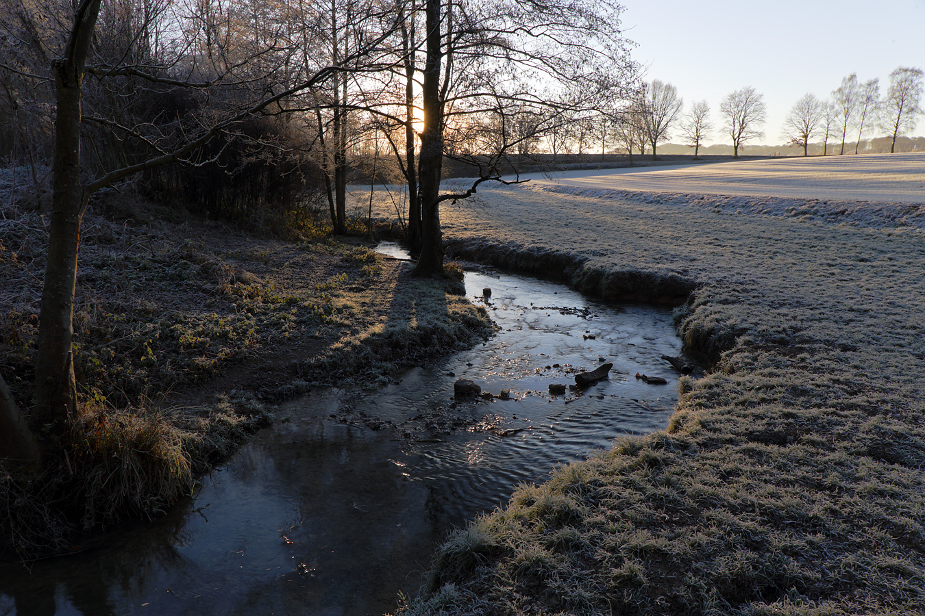 Rotthäuser Bachtal an einem Wintermorgen Foto & Bild | landschaft, bach