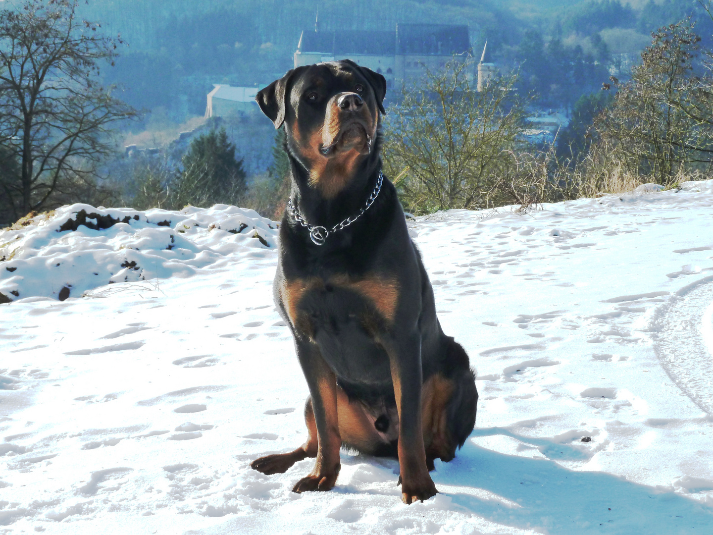 Rotti Burli als Model vor Schloss Vianden 1