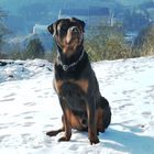 Rotti Burli als Model vor Schloss Vianden 1