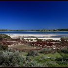 Rottnest Island 2