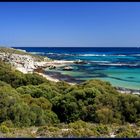 Rottnest Island 3