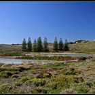 Rottnest Island