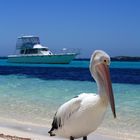 Rottnest Island