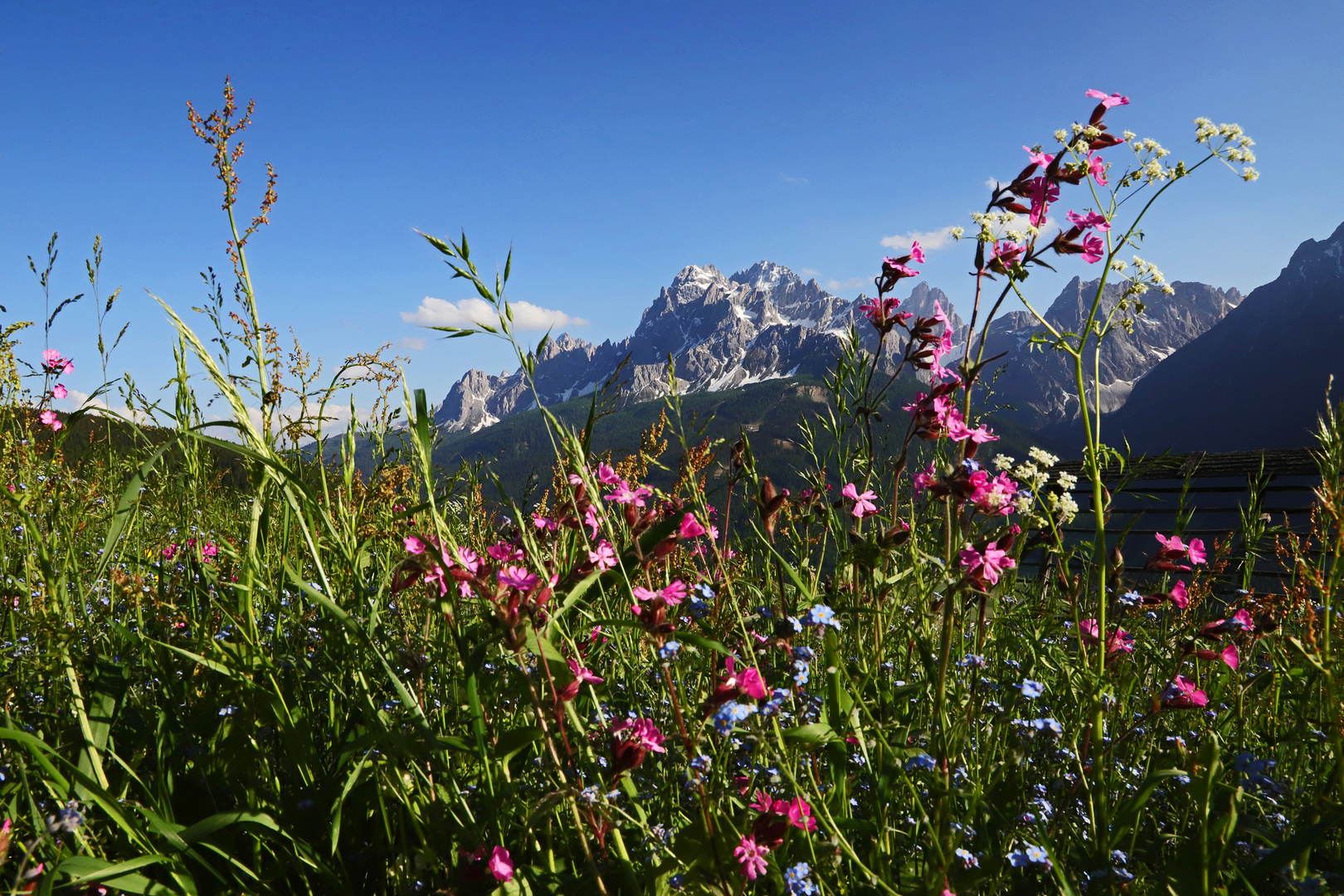 Rotwand (2.965 m), Sextener Dolomiten, Italien