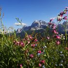 Rotwand (2.965 m), Sextener Dolomiten, Italien