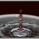 Rotwein in Wasser