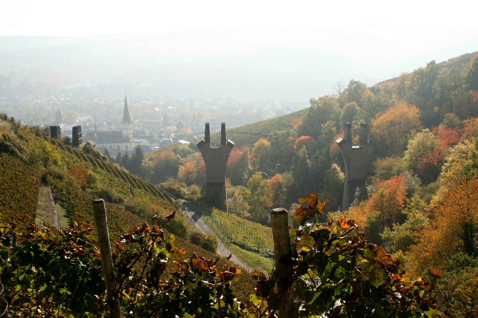 Rotwein Wanderweg 2