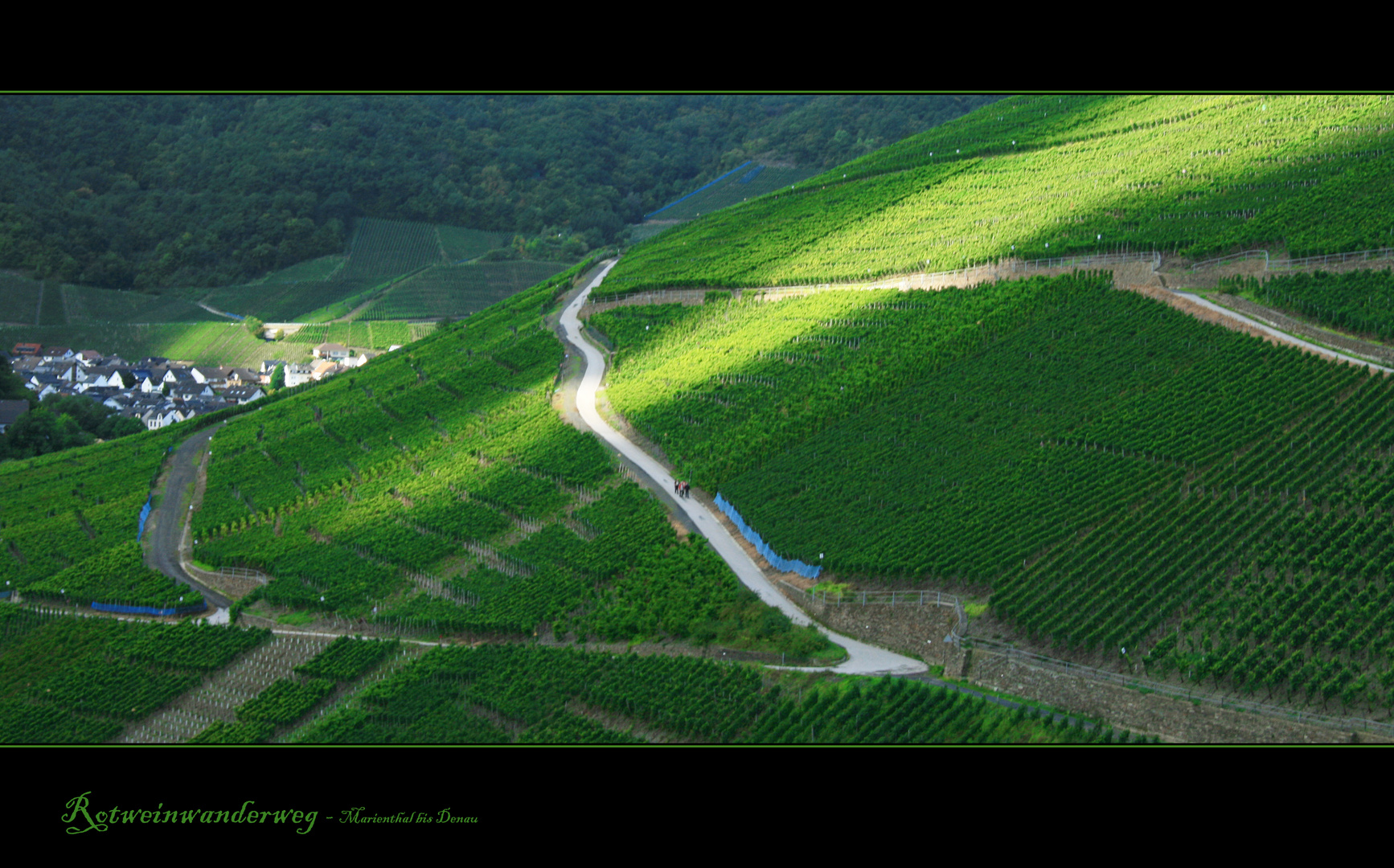 Rotweinwanderweg