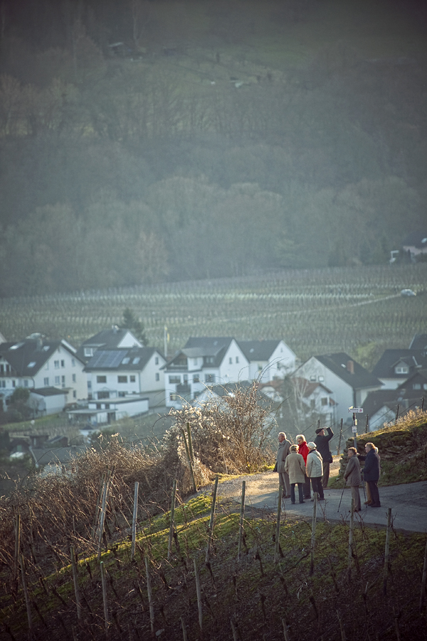 Rotweinwanderweg .....