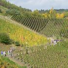 Rotweinwanderweg an der Ahr