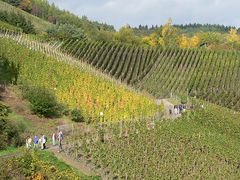 Rotweinwanderweg an der Ahr