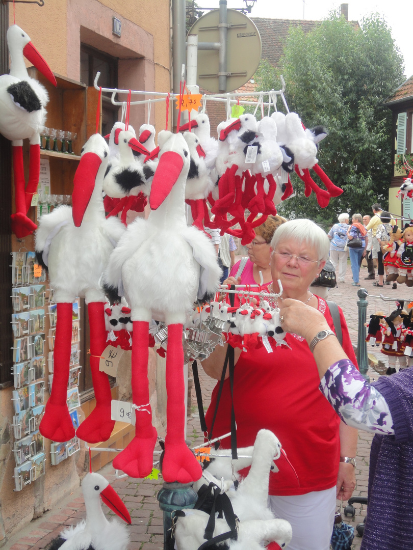 Rot/Weiß - Störche in Colmar -