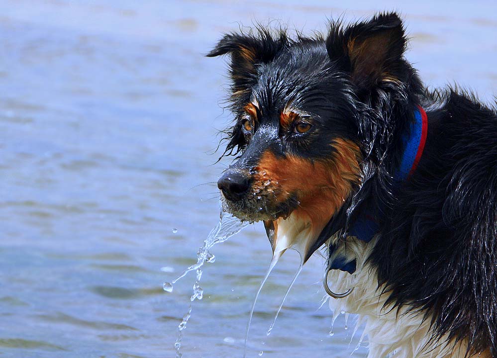 Rotz und Wasser zum Urlaubsende