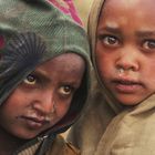 Rotzglocken-Armut Äthiopien