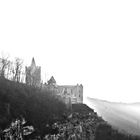 Roudelsburg im Nebel