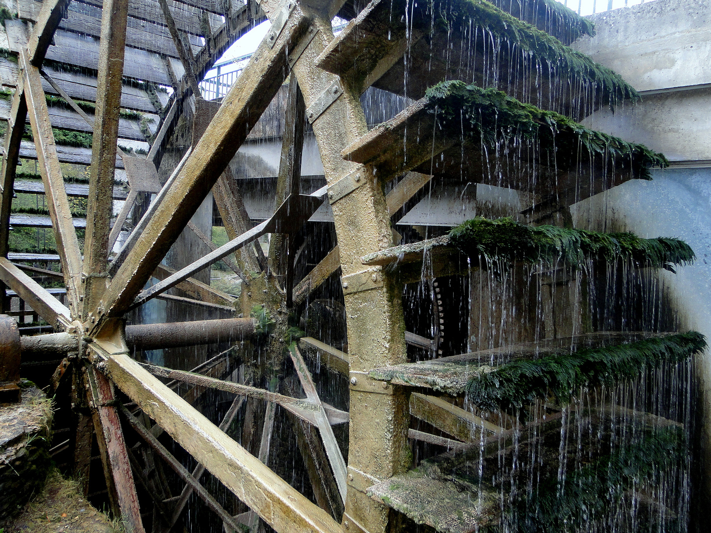 Roue à aube