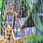 Roue à Aubes à L'isle sur la Sorgue