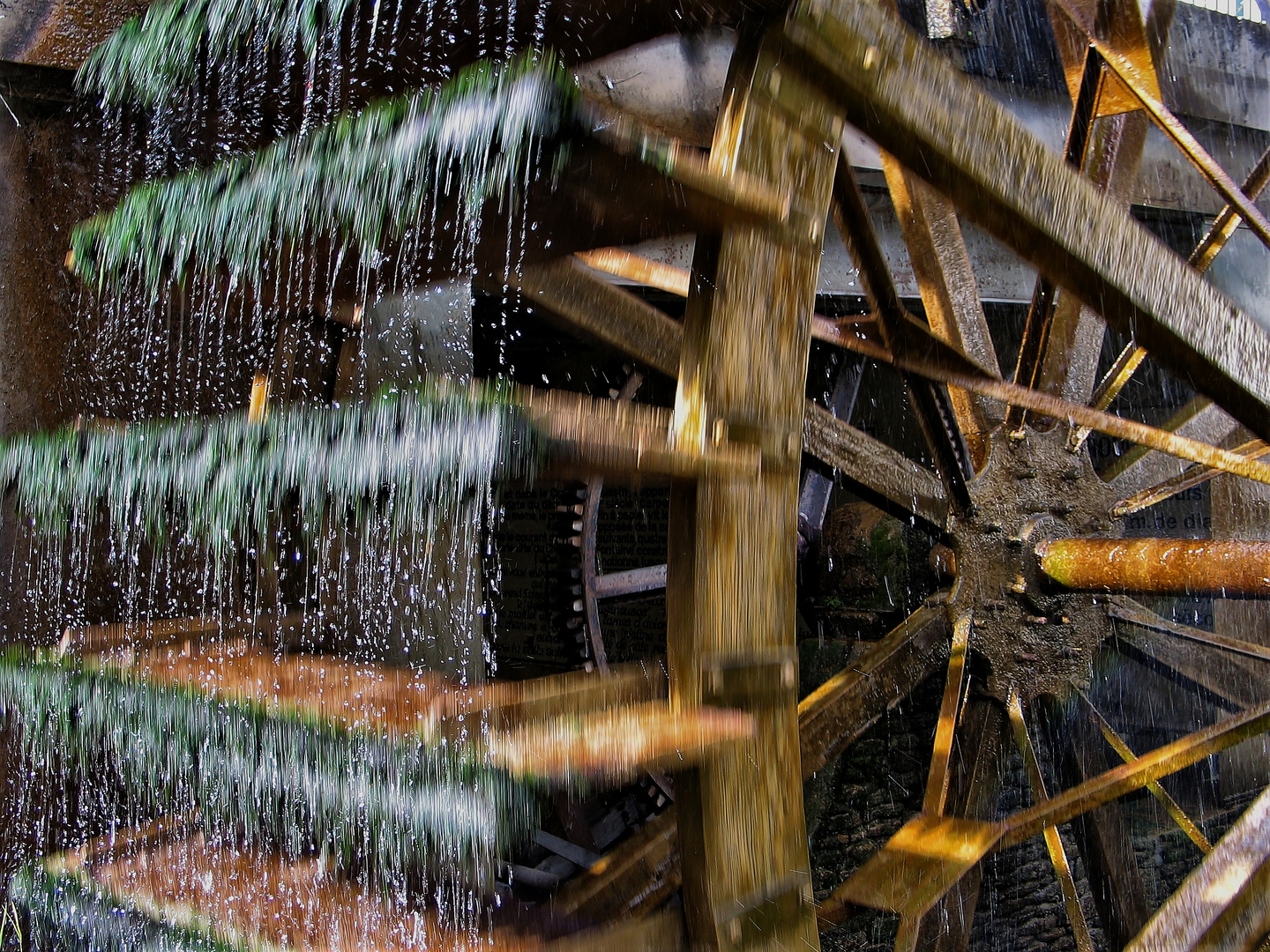 Roue à aubes sur la Sorgue