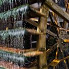 Roue à aubes sur la Sorgue