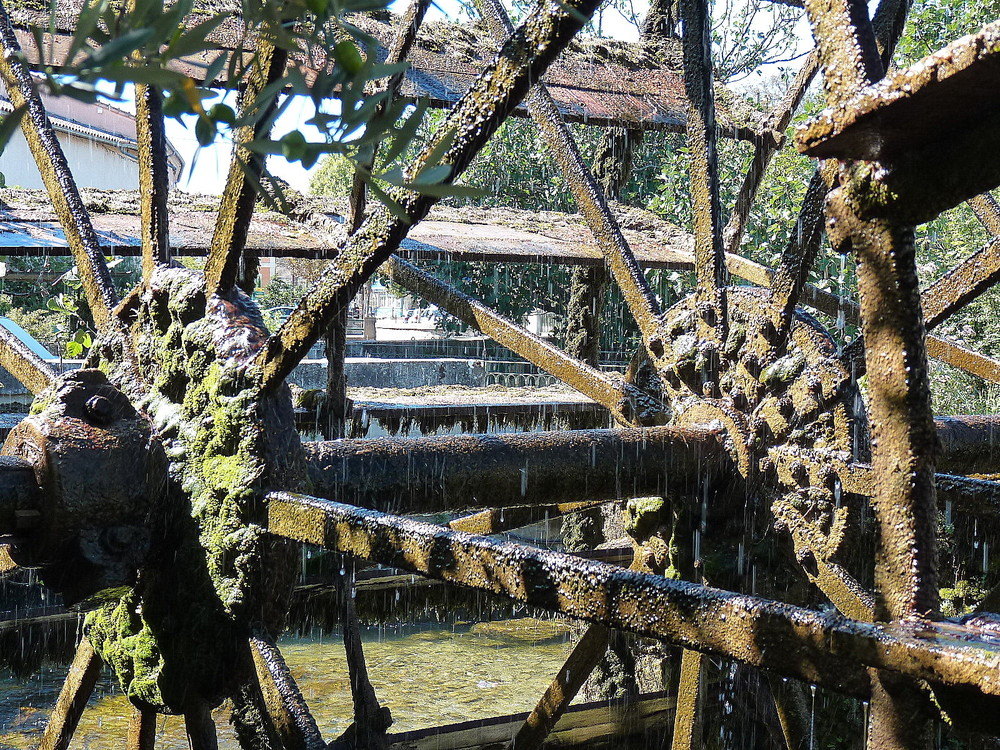 Roue à eau à l'Isle-sur-la-Sorgue ( détail)