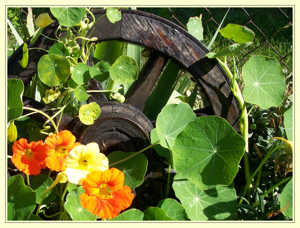 Roue recyclée