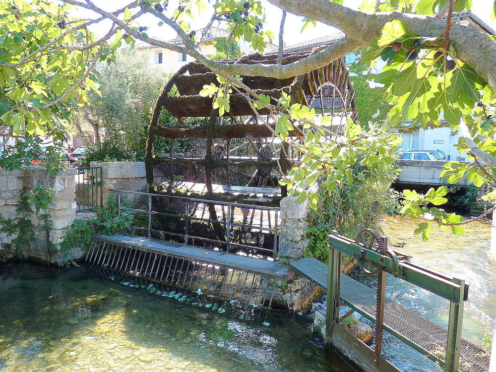 Roues à eau à l'Isle-sur-la-Sorgue