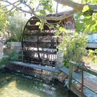 Roues à eau à l'Isle-sur-la-Sorgue